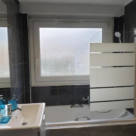 Apartment La Roseraie Proche Centre/gare Metz
